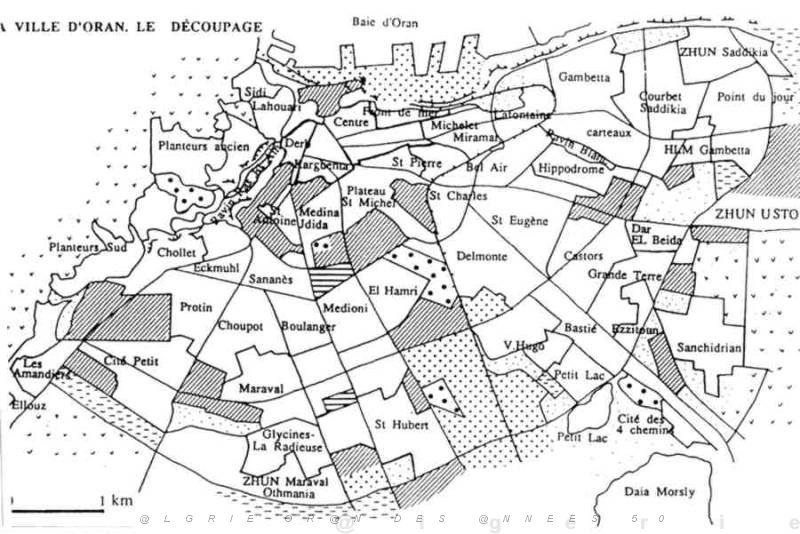501  PLAN  LES QUARTIERS D ORAN.JPG